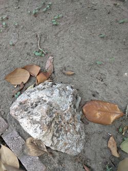 Landscape rock