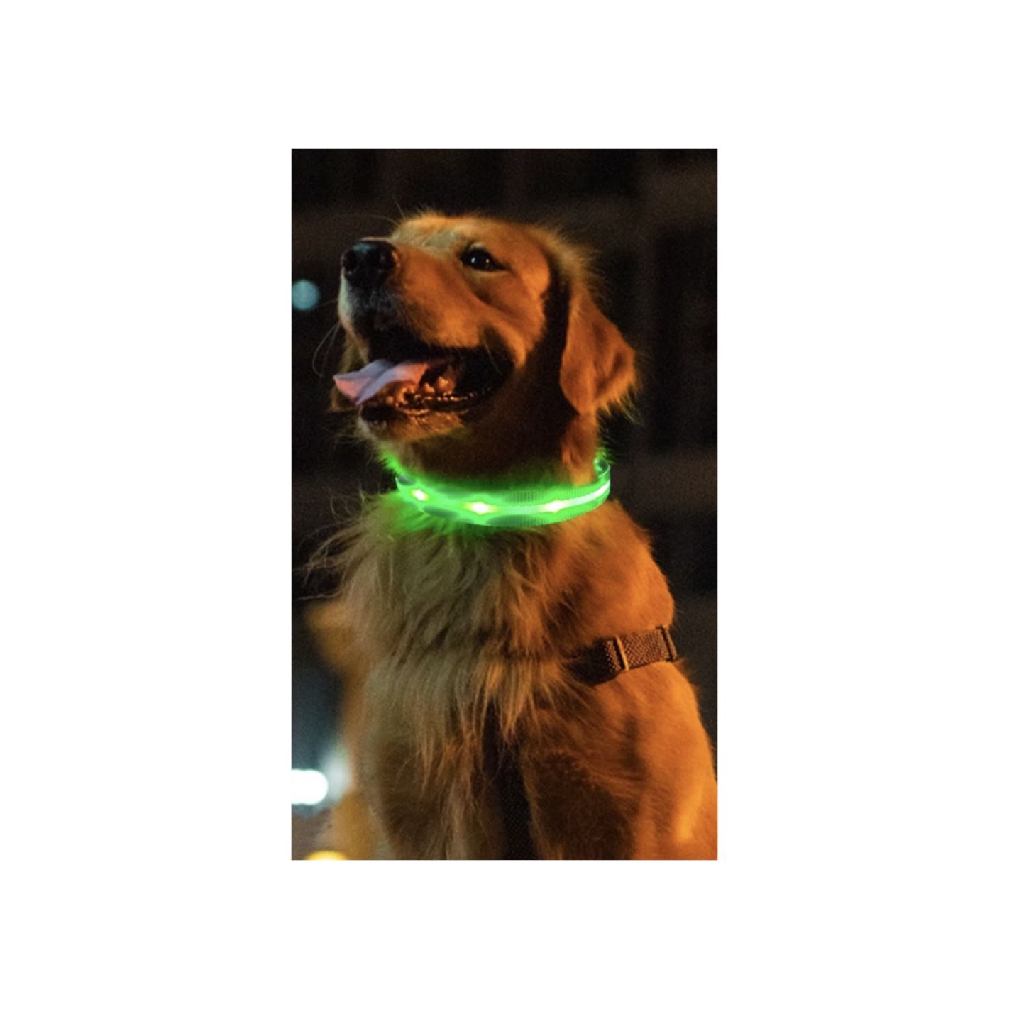 LED Dog Collar /waterproof 