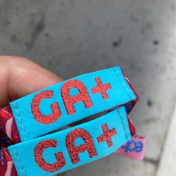Selling 2 Ga + With Shuttle Passes