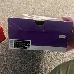 Nike Inverted Celtics Dunks 
