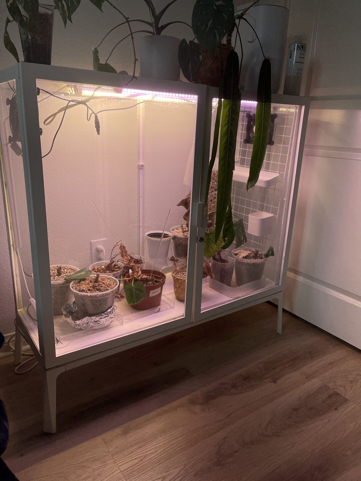 White Plant Cabinet