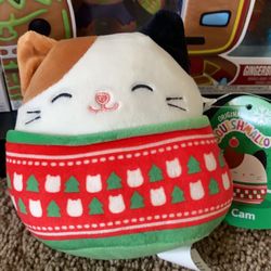 Holiday Cam 4.5 In Squishmallow 