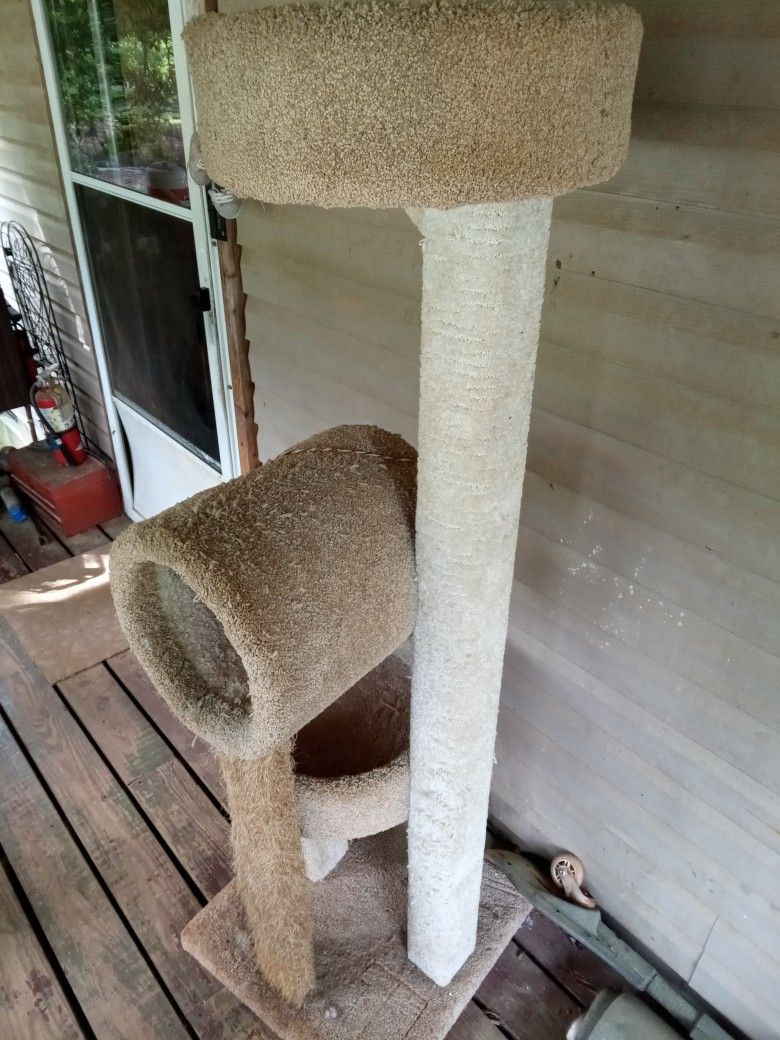 Cat Tree