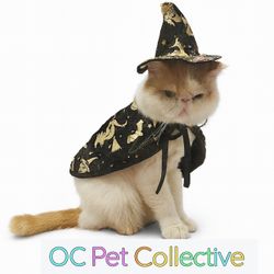 Halloween Wizard Cat Costume 
