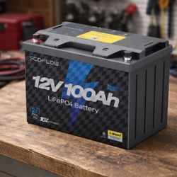 EcoFlow 12V 100Ah LiFePO4 Lithium Battery – Deep Cycle Marine / RV / Solar – New