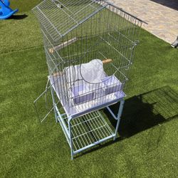 Bird Cage Jaula