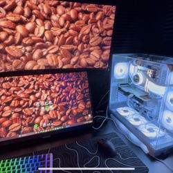 Gaming Monitors