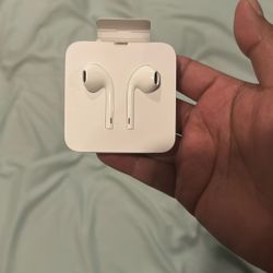 Apple Head Phones (new)