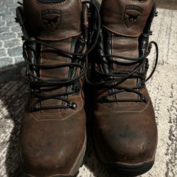 Red Wing Irish Setter