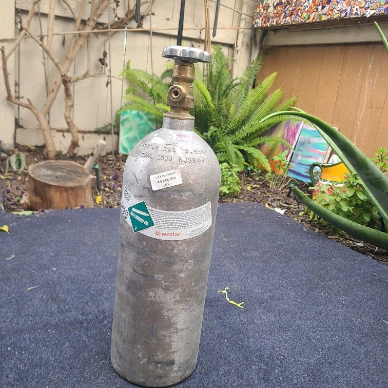💨 5lb CO₂ Tank – Great Condition!