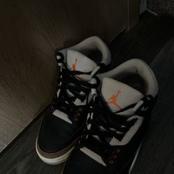 Jordan 3s elephant deserts