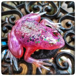 Glittery Pink Frog Epoxy Resin 