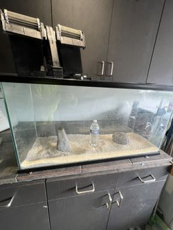 30 Gallon Glass Aquarium With Everything