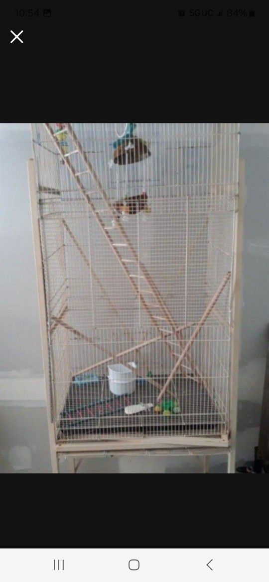 Large Bird Cage With Accessories 