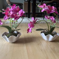 Decor - Orchid Flower Arrangements
