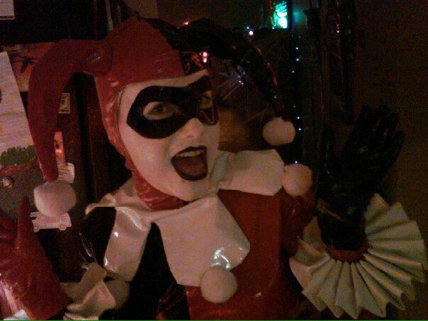 Harley Quinn Halloween Costume Handmade Vinyl