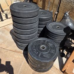Rogue Olympic Bumper Plates