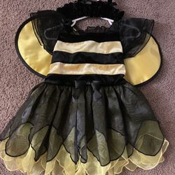Koala Kids Bumble Bee Costume