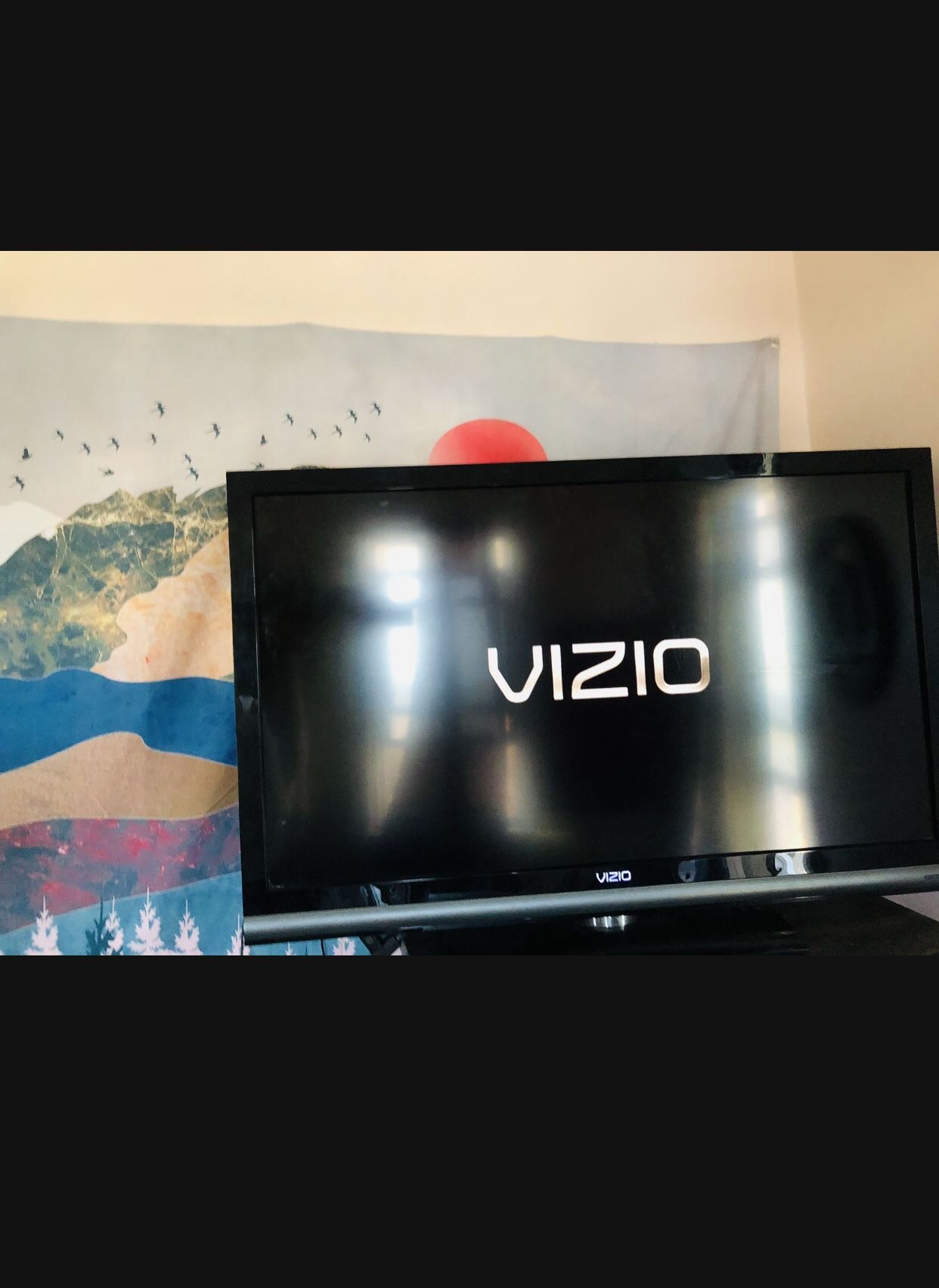 Vizio 45"inch Tv