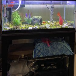 40 Gallon Fish Tank + Stand + Light