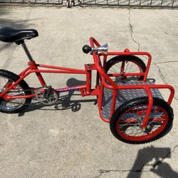 CARGO BIKE