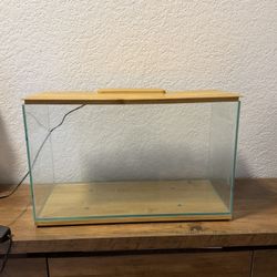 Modern Aesthetic  Fish Tank 