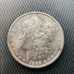 10 Morgan Silver  Dollars 