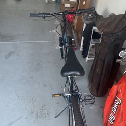 Roadmaster Bike 