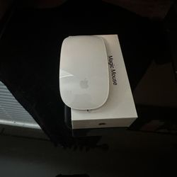Magic Mouse 