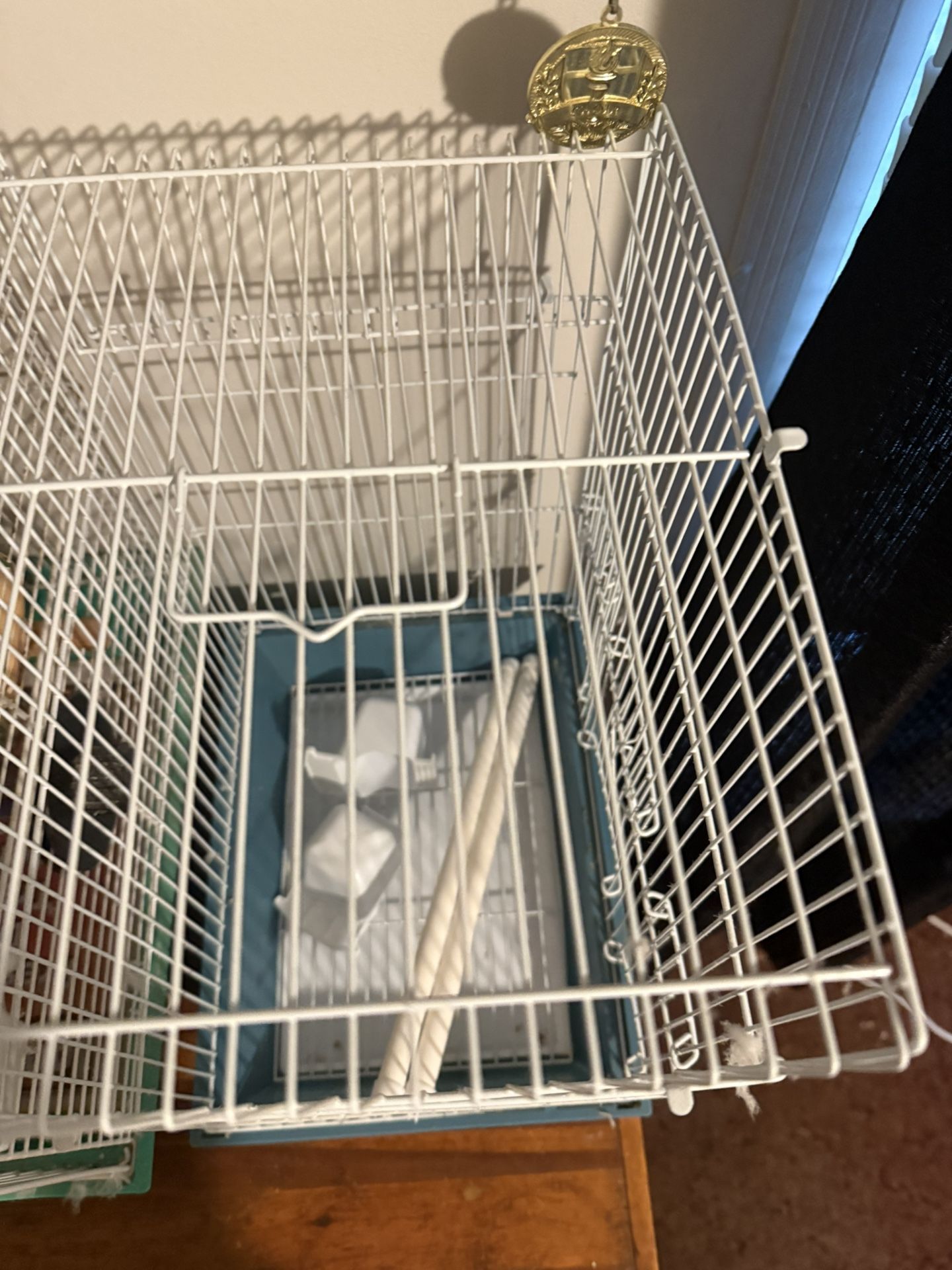Bird Cage 