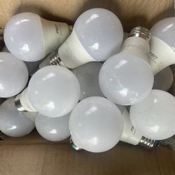 Over 40 Feit Electric Light Bulbs New Open Box