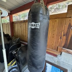 Prolast Heavy Bag 80lbs +