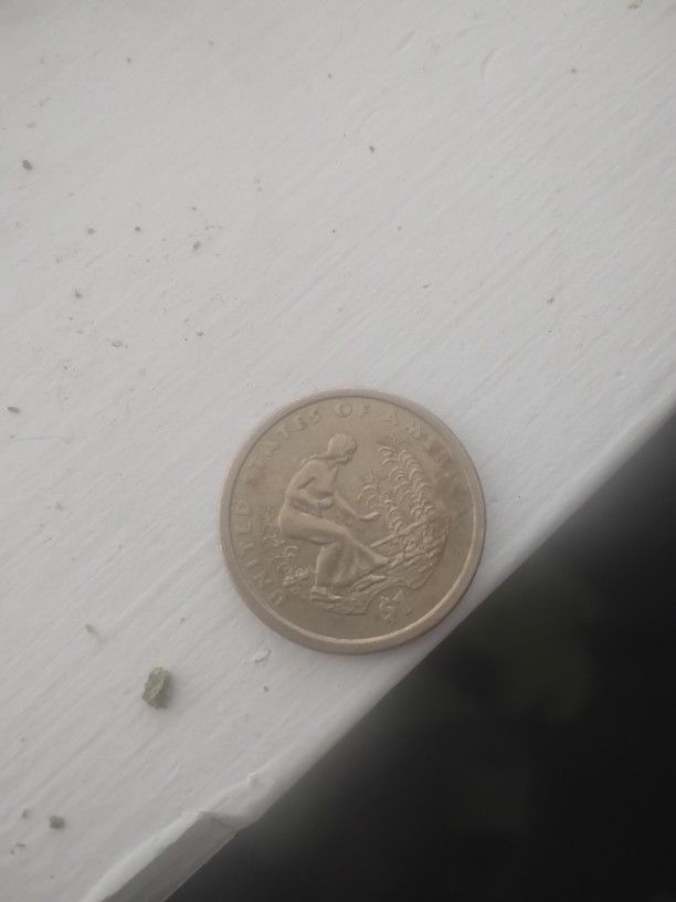 Rare No Date Gold Dollar