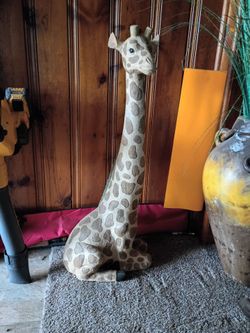 A baby giraffe