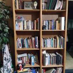 Book Shelves