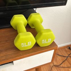 5 Pound Weights 