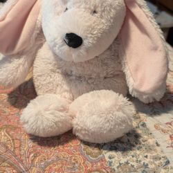 Pink Plush Bunny Warmie