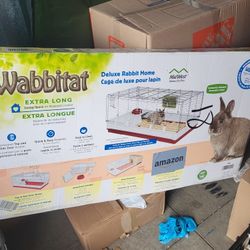 Rabbit Cage 