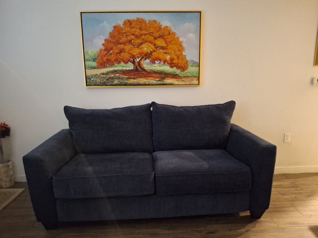 Sofa Bed / $300 OBO