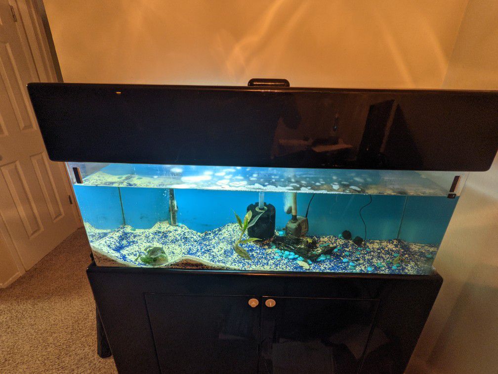 60 Gallon Fish Tank With Stand, Top, In Tank Pump, Sponge Filter, 300w Heater, Gravel, and more 