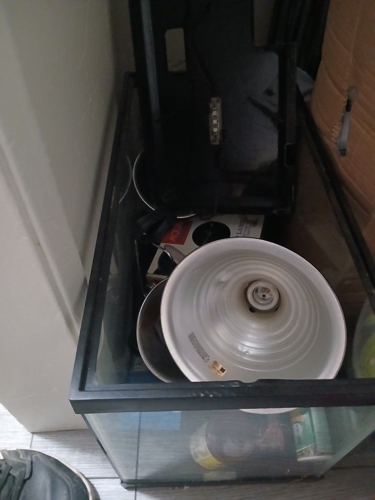 Fish Tank With Extra Stuff