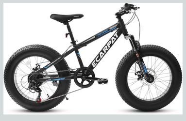 Mountain fat tire bike
