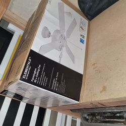 52" Hampton Bay Ceiling Fan – New