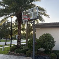 🏀 Lifetime 10 Inch Glass Basketball Hoop – Adjustable 