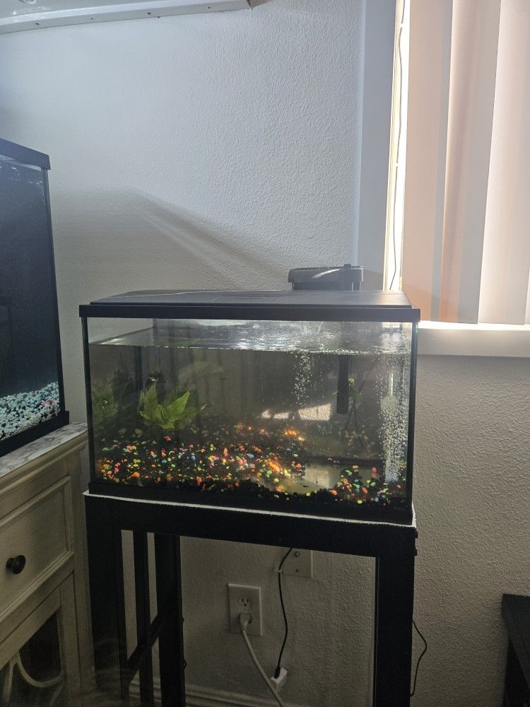10 Gallon Aquarium With Stand