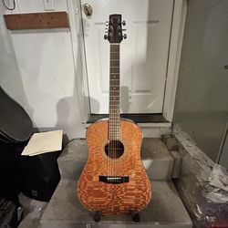 1995 Samick Guitar Special