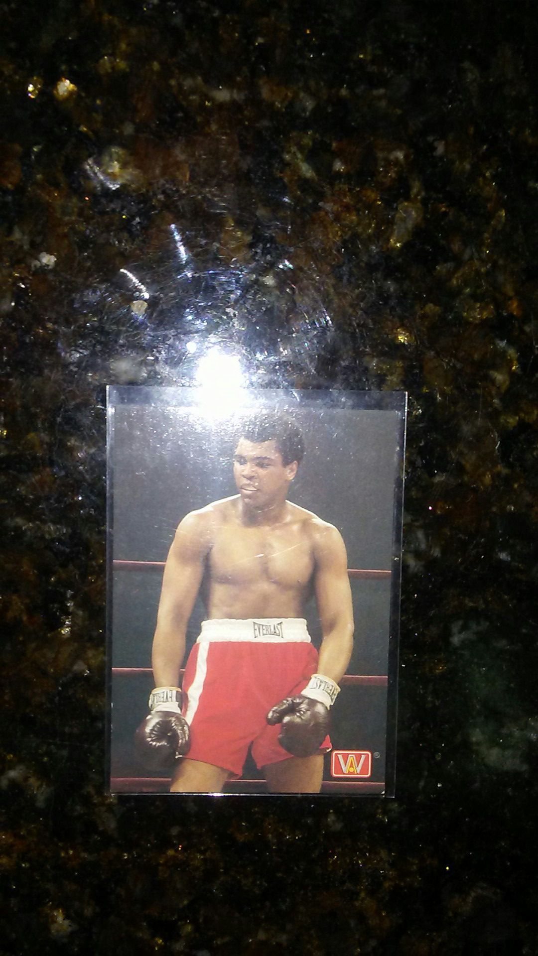 Muhammad Ali Boxing Card