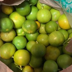 Calamansi Fruit 6$/lb