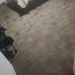 Carpet/C134N 