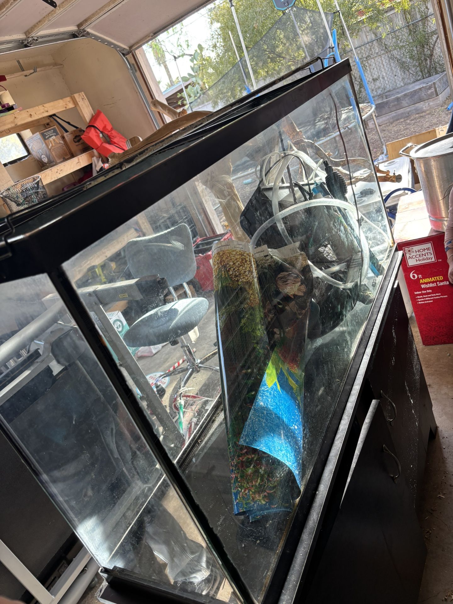 50 Gallon Tank And Stand